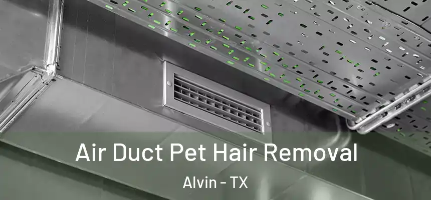 Air Duct Pet Hair Removal Alvin - TX