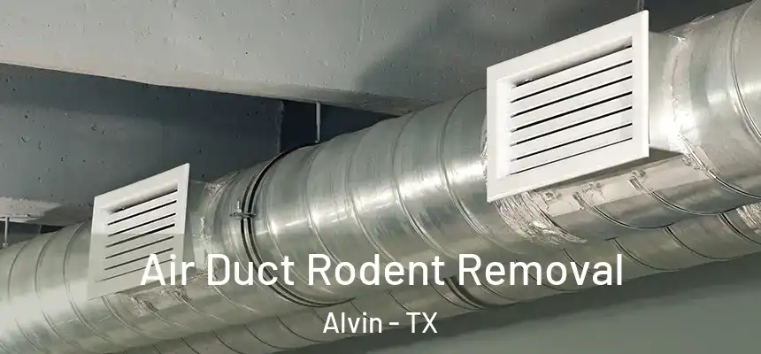  Air Duct Rodent Removal Alvin - TX