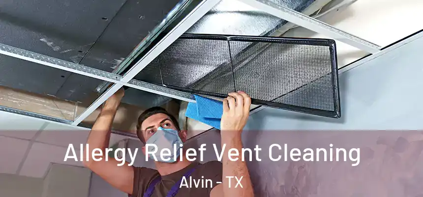  Allergy Relief Vent Cleaning Alvin - TX