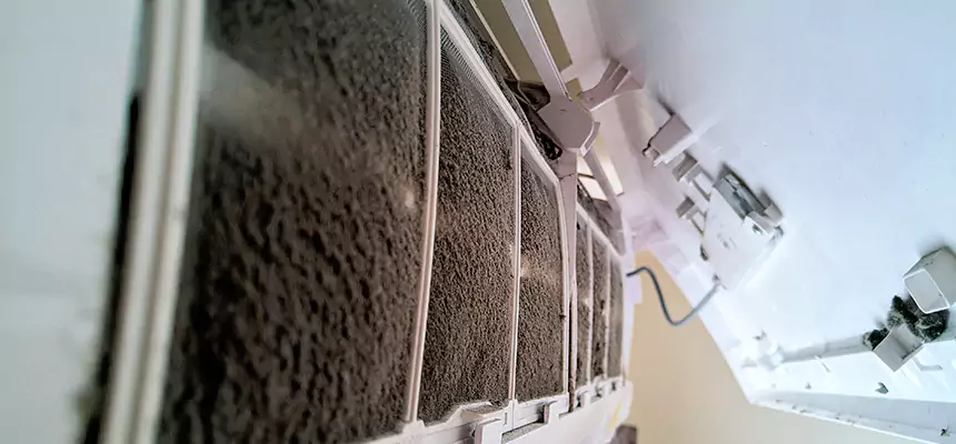 Preventive Air Duct Bacteria Removal in Alvin