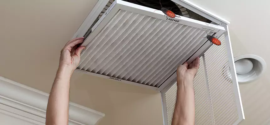 Our Insect Removal from Air Ducts Services in Alvin, TX