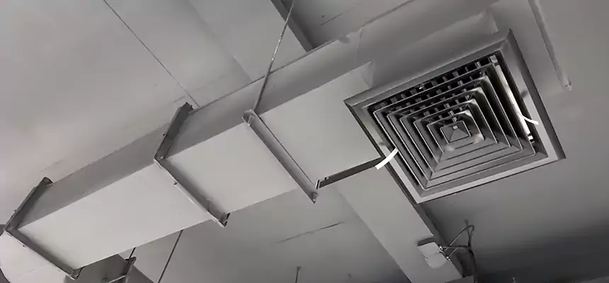 Our Pest Removal From Ducts Services in Alvin, TX