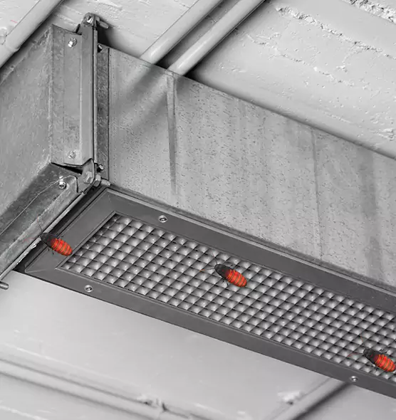 Affordable Insect Removal from Air Ducts in Alvin, TX