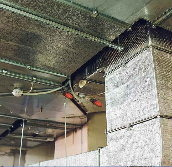 Why Homeowners & Businesses Trust Us in Alvin, TX?