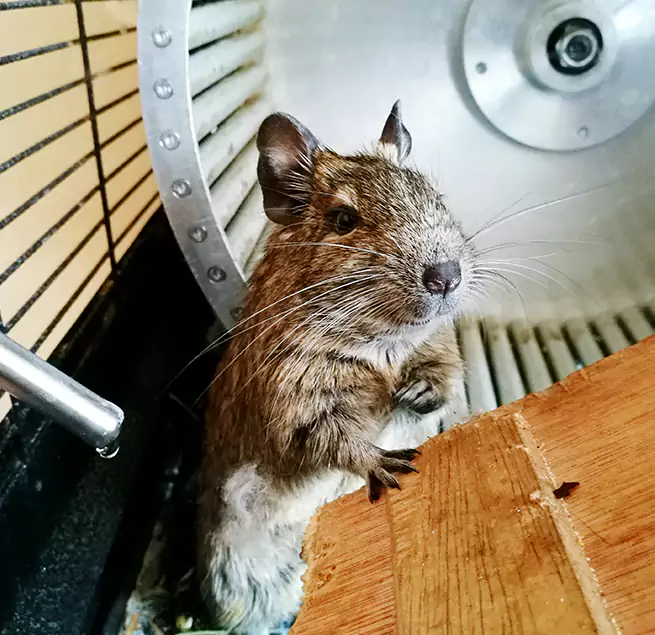 Why Homeowners & Businesses Trust Us Alvin, TX