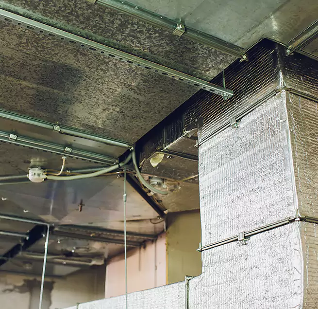 Why Homeowners & Businesses Trust Us in Alvin, TX?